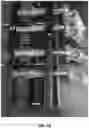 Fig. 24 - Isolation of Different Extracellular Vesicle (EV) Subpopulations