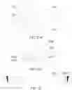 Fig. 10 - Same-cavity integrated vertical high-speed multistage superfine pulverizing device and method for walnut shells