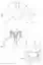 Fig. 08 - Device for dispensing fluids or mixtures