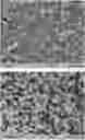 Fig. 01 - Powders based on niobium-tin compounds for producing superconductive components