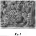 Fig. 04 - Powders based on niobium-tin compounds for producing superconductive components