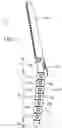 Fig. 02 - SAW HANDLE AND SAW PROVIDED WITH SAW HANDLE