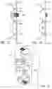 Fig. 14 - Clamp for elongate objects