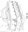 Fig. 04 - Carrier having a rigid container and sleeve organizer