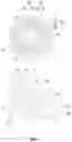 Fig. 08 - Elastic body having variable rigidity, and actuator module including same