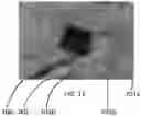 Fig. 10 - ROBOT TRACKING DEVICE