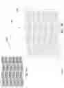 Fig. 10 - Automating the planning, estimating, and impositioning of printer orders via multi-step cutting that involve die cutting