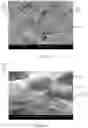 Fig. 22 - ADDITIVE FABRICATION METHODS AND DEVICES FOR MANUFACTURE OF OBJECTS HAVING PREFORM REINFORCEMENTS