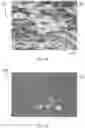 Fig. 29 - ADDITIVE FABRICATION METHODS AND DEVICES FOR MANUFACTURE OF OBJECTS HAVING PREFORM REINFORCEMENTS