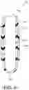Fig. 14 - Blow molding method, composite preform, composite container, inner label member, and plastic member