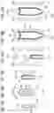 Fig. 25 - Blow molding method, composite preform, composite container, inner label member, and plastic member