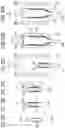 Fig. 31 - Blow molding method, composite preform, composite container, inner label member, and plastic member