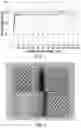 Fig. 02 - PRODUCTION OF LOW DENSITY PRODUCTS BY ADDITIVE MANUFACTURING