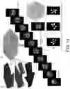 Fig. 13 - Curing-on-demand printheads for multi-material 3D printing