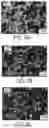 Fig. 07 - Thermoplastic particulates comprising a carboxylic acid-based sintering aid and additive manufacturing therewith