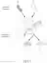 Fig. 04 - SHEET STRUCTURE