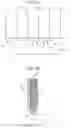 Fig. 04 - Apparatuses and methods for printing security documents