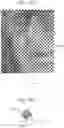 Fig. 15 - Apparatuses and methods for printing security documents