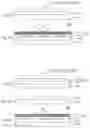 Fig. 04 - METHOD FOR MANUFACTURING DECORATED PRODUCT, DECORATING SHEET, AND DECORATED PRODUCT