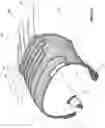 Fig. 02 - TIRE WITH ELECTRONIC DEVICE HAVING A REINFORCING CORD ANTENNA