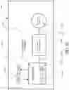 Fig. 43 - Active vehicle suspension