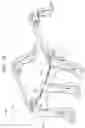 Fig. 17 - Conveyance seat