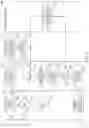 Fig. 05 - Automated vehicle condition grading