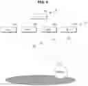 Fig. 05 - Driver assistance apparatus, vehicle having the same, and method of controlling vehicle