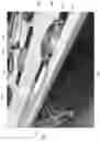 Fig. 18 - Aerial vehicle