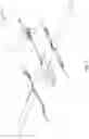 Fig. 04 - Modular unmanned aerial vehicles