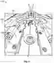Fig. 21 - Mono-winged drone
