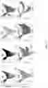 Fig. 14 - Methods and systems for trajectories, approaches, flybys, landings, and orbits in three-or-more body systems