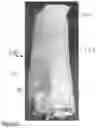 Fig. 03 - Systems and methods for incorporating labels and the like with expandable slit sheet material wrap