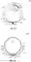 Fig. 06 - Container for flowers and method of operation thereof