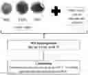 Fig. 01 - A CATALYST COMPOSITION AND METHOD OF MAKING THEREOF FOR PURE HYDROGEN PRODUCTION