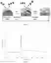 Fig. 21 - A CATALYST COMPOSITION AND METHOD OF MAKING THEREOF FOR PURE HYDROGEN PRODUCTION