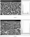 Fig. 27 - A CATALYST COMPOSITION AND METHOD OF MAKING THEREOF FOR PURE HYDROGEN PRODUCTION
