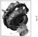 Fig. 12 - NITROUS DECOMPOSITION WITHOUT CATALYST