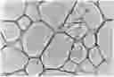 Fig. 01 - Exfoliated graphite and manufacturing method therefor