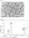 Fig. 02 - Exfoliated graphite and manufacturing method therefor