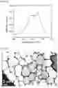 Fig. 04 - Exfoliated graphite and manufacturing method therefor