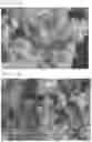 Fig. 03 - Method for preparing mordenite zeolite having controllable particle size