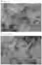 Fig. 06 - Method for preparing mordenite zeolite having controllable particle size