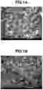 Fig. 02 - Rare earth compound particles and method for producing rare earth oxide particles