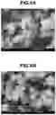 Fig. 05 - Rare earth compound particles and method for producing rare earth oxide particles