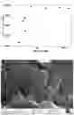 Fig. 06 - MANUFACTURE OF TITANIUM DIOXIDE STRUCTURES