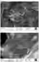 Fig. 08 - MANUFACTURE OF TITANIUM DIOXIDE STRUCTURES