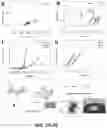 Fig. 08 - Ceramic composites and methods of making and using the same