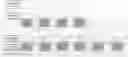 Fig. 01 - Method for preparing resorcinol through micro-channel reaction