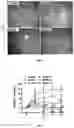 Fig. 06 - PHENOXY ACID COMPOUNDS AND MEDICAL USES THEREOF